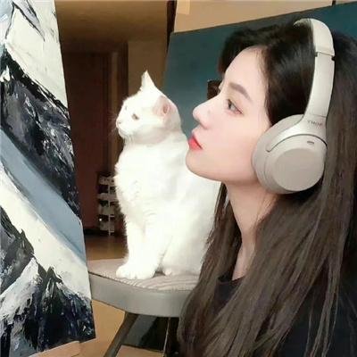 神探麦克